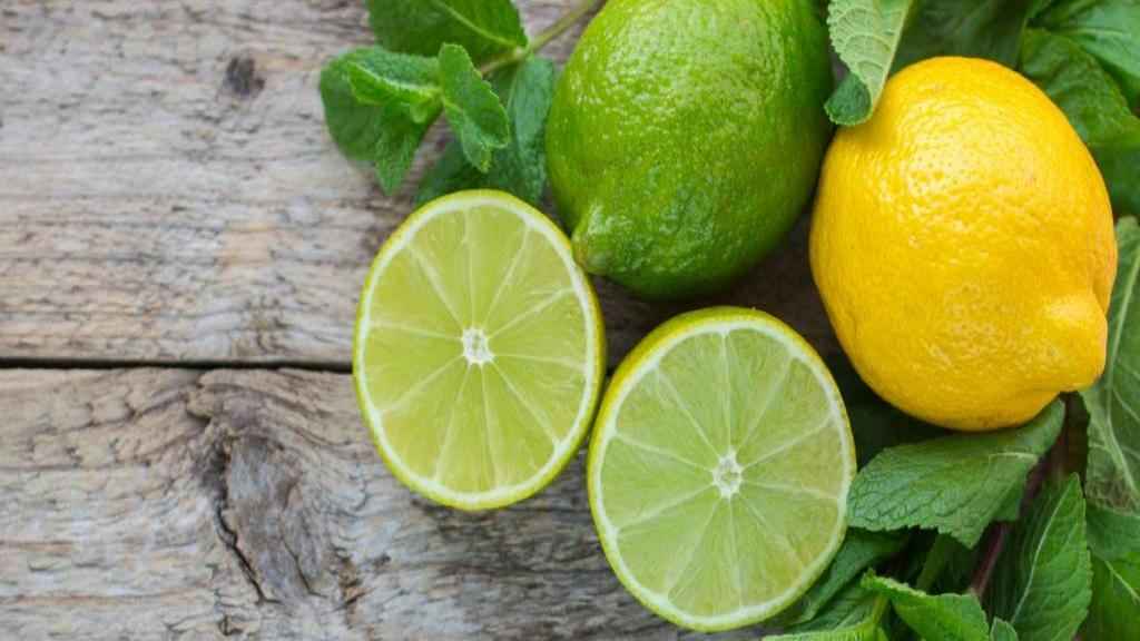 تصویر 3 از لیمو ترش شیرازی مرغوب مناسب مصارف روزانه